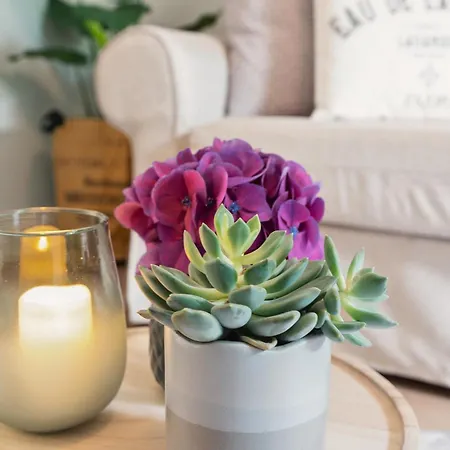 アパート Altstadt Am Wasser Mit Grossem Garten *