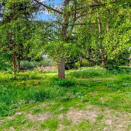 Altstadt Am Wasser Mit Parkplatz Und Riesigem Garten * Bad Kreuznach