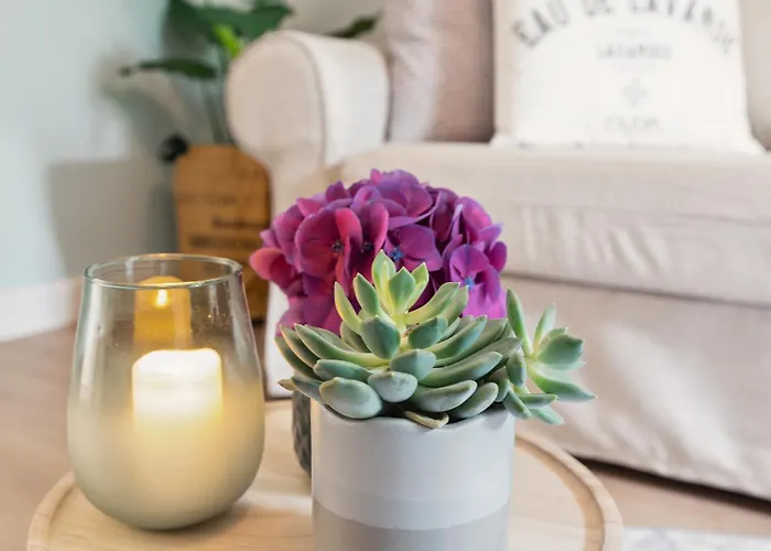 Lägenhet Altstadt Am Wasser Mit Grossem Garten *