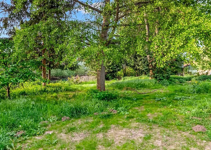 Altstadt Am Wasser Mit Grossem Garten * バート・クロイツナハ